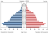 population pyramid