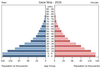 population pyramid