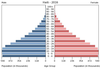 population pyramid