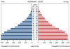 population pyramid