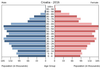 population pyramid