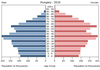 population pyramid