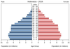 population pyramid