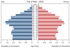 population pyramid
