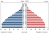 population pyramid