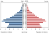 population pyramid