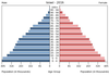 population pyramid