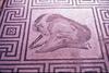 Floor mosaic in Pompeii, the Roman town buried in the eruption of Mt. Vesuvius in A.D. 79. Pompeii is a short distance from the Gulf of Naples and is a UNESCO World Heritage Site.