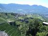 View of the town of Meran from Castle Tyrol. The town is renowned for its spa resorts.