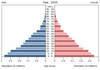 population pyramid