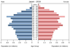 population pyramid
