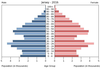 population pyramid