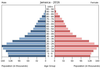 population pyramid