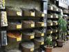 A spice shop in Amman.