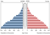 population pyramid
