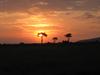 Dawn in Masai Mara National Reserve.