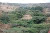 A landscape view from the road above the Rift Valley. Sections of the Rift Valley have been a rich source of fossils that have facilitated the study of human evolution.