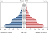 population pyramid