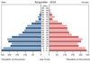 population pyramid