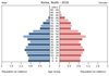 population pyramid