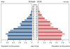 population pyramid