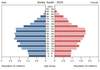 population pyramid