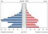 population pyramid