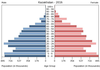 population pyramid