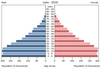 population pyramid