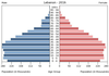 population pyramid