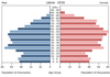 population pyramid