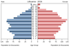 population pyramid