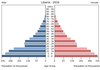 population pyramid