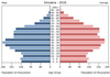 population pyramid