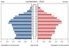 population pyramid