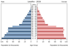 population pyramid