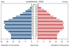 population pyramid