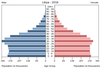 population pyramid