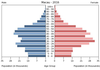 population pyramid