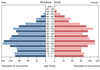 population pyramid