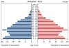population pyramid