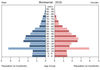 population pyramid