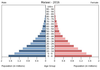population pyramid