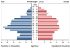 population pyramid