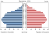 population pyramid