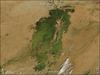 In the middle of Mali, part of the landscape gleams like a giant emerald in the otherwise arid brown African Sahel. The gleaming jewel is the Inland Niger Delta. Fed by floodwaters from the Niger River, the Bani River, and a network of smaller streams, this inland delta grows to some 20,000 sq km (7,700 sq mi) during the four-month rainy season that begins each July. During the dry season, the inland delta can shrink to roughly 3,900 sq km (1,500 sq mi).
This satellite picture of the Inland Niger Delta was taken shortly after the end of the rainy season when the landscape remained lush and green. This inland delta is a complex combination of river channels, lakes, swamps, and occasional areas of higher elevation. One such elevated area is obvious in this image, and it forms a branching shape, like a tan tree pushing up toward the north. This wet oasis in the African Sahel provides habitat both for migrating birds and West African manatees. The fertile floodplains also provide much needed resources for the local people, who use the area for fishing, grazing livestock, and cultivating rice. Image courtesy of NASA.