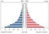 population pyramid