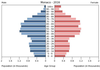 population pyramid