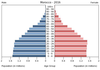 population pyramid