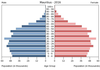 population pyramid